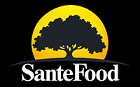 Footer Logo